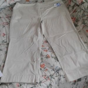 NEW YORK COMPANY CAPRIS (1001)